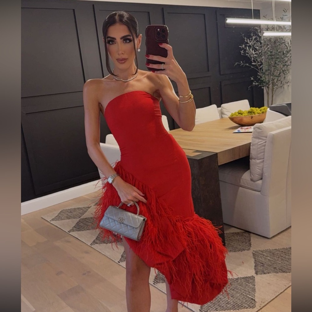 Cult Gaia Red Feather Gosia Gown